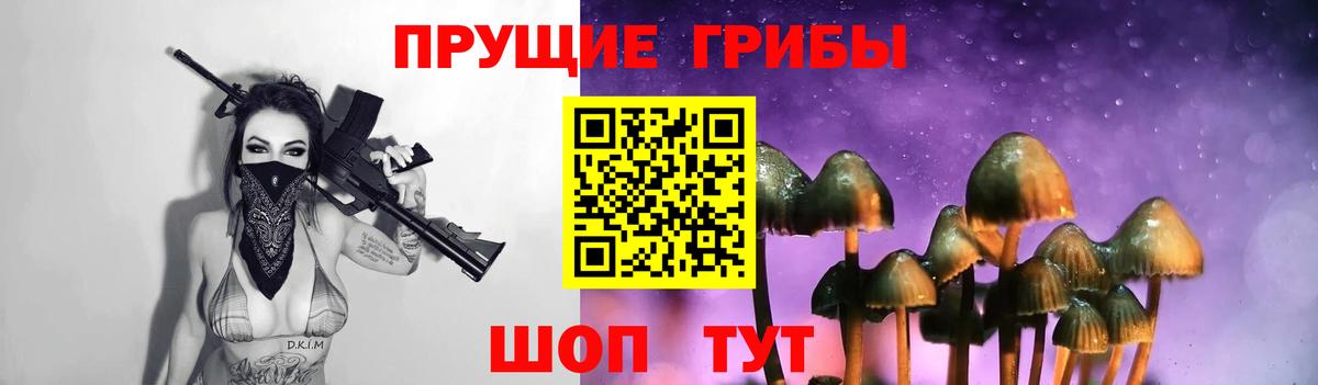 Псилоцибиновые грибы GOLDEN TEACHER  Псилоцибиновые грибы Psilocybe  Вход с VPN  Светлоград 