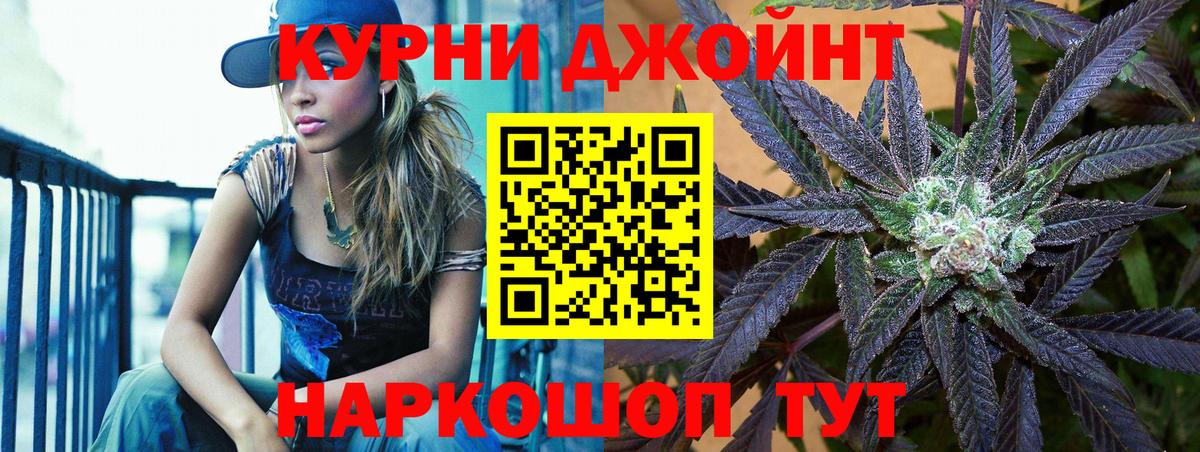 Бошки Шишки план Светлоград